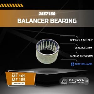 BALANCER BEARING 2557180